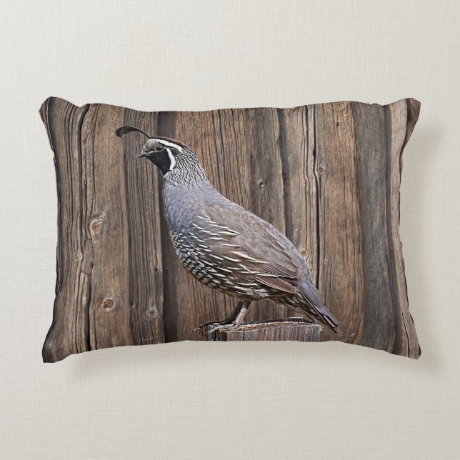 COJÍN DECORATIVO CALIFORNIA QUAIL EN BARNBOTE (Anverso)