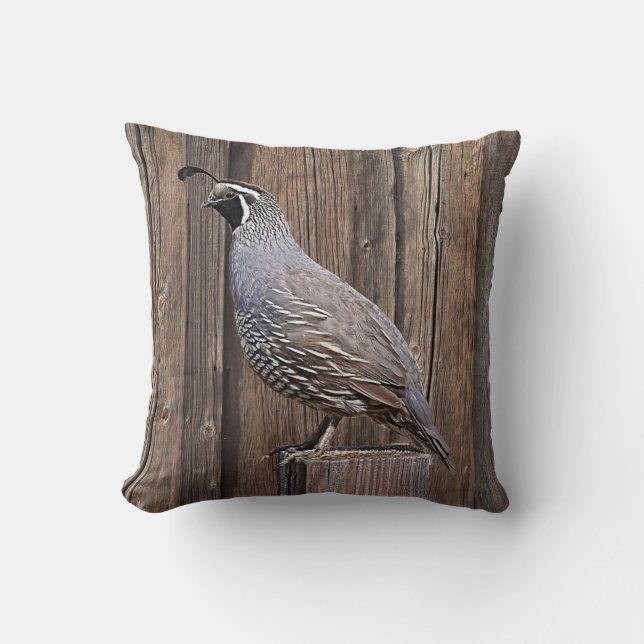 COJÍN DECORATIVO CALIFORNIA QUAIL EN EL BARNBOL (Anverso)