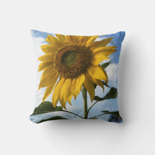 Cojín Decorativo California, Un Girasol Gigante (Helianthus) 4