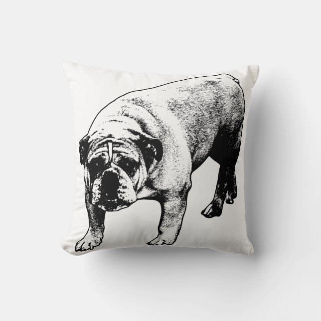 Cojín Decorativo Calle Sofa Snowfall (Anverso)