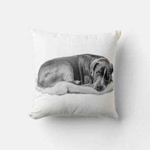 Cojín Decorativo Cama acogedora, tesoro reclamado