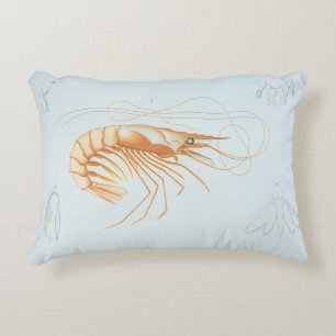 Cojín Decorativo Camarón o Langostino, Vida Marina Antigua Animales