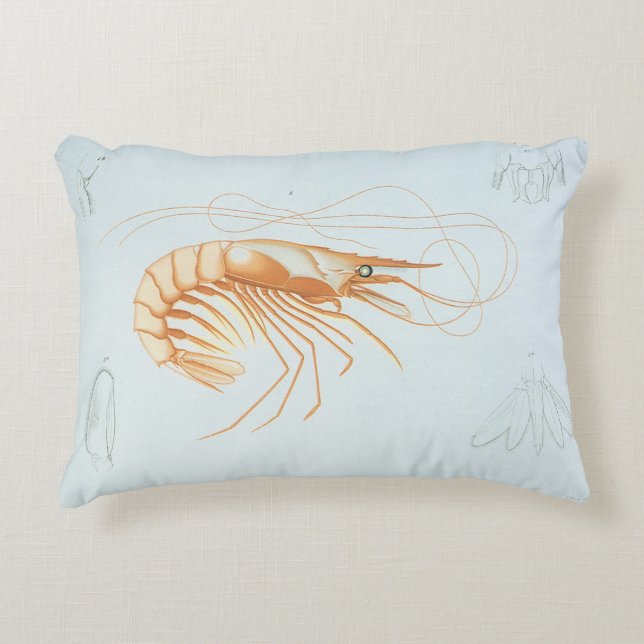 Cojín Decorativo Camarón o Langostino, Vida Marina Antigua Animales (Anverso)