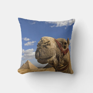 Cojín Decorativo Camello frente a las pirámides de Giza, Egipto,