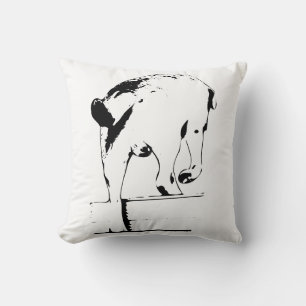 Cojín Decorativo Camino hacia la Tierra