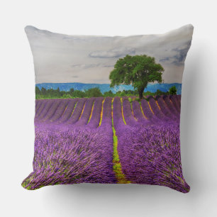 Cojín Decorativo Campo de lavanda escénico, Francia