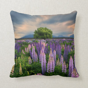 Cojín Decorativo Campo del altramuz en Nueva Zelanda