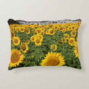 Cojín Decorativo Campos de girasol, ciudad de Bornos, en una colina