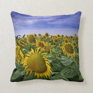 Cojín Decorativo Campos del girasol de California