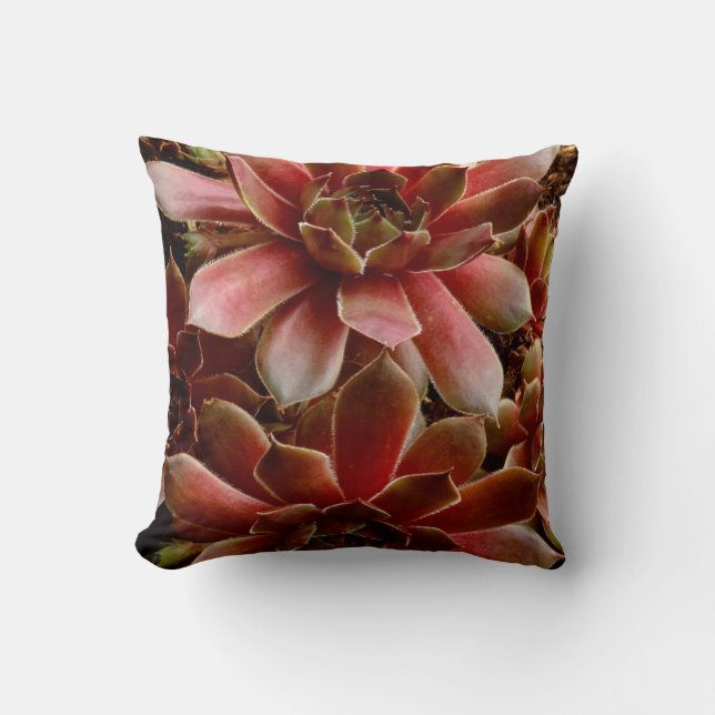 Cojín Decorativo Canadá, . Planta suculenta (Anverso)