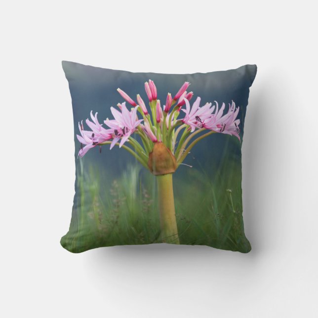 Cojín Decorativo Candelabra Flower (Brunsvigia Radulosa), Umgeni (Anverso)