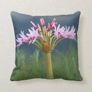 Cojín Decorativo Candelabra Flower (Brunsvigia Radulosa), Umgeni