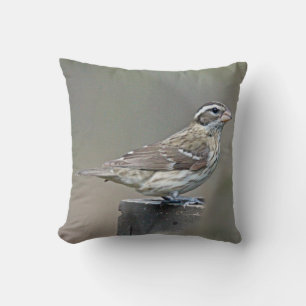 Cojín Decorativo Cangrejo Femenino Grosbeak de Rosa