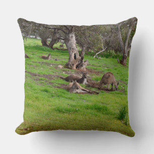 Cojín Decorativo Canguro Siesta, Gran Cushion De Lanzamiento.