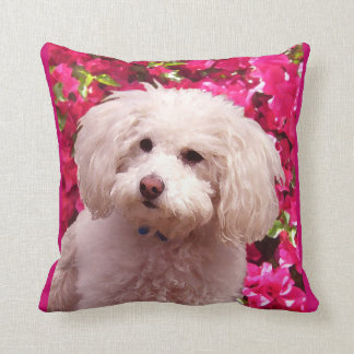 Cojín Decorativo Caniche bonito