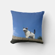 Cantando Cat 歌 う Cushion 猫・ョ ン