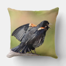 Canto de Red Wingbird