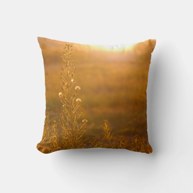 COJÍN DECORATIVO CAPTURA CÁLIDA DE MEADOW GRASS (Anverso)