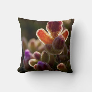 Cojín Decorativo Capullo de Flor Suculenta Colorida con Retroilumin