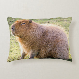 Cojín Decorativo Capybara Cushion