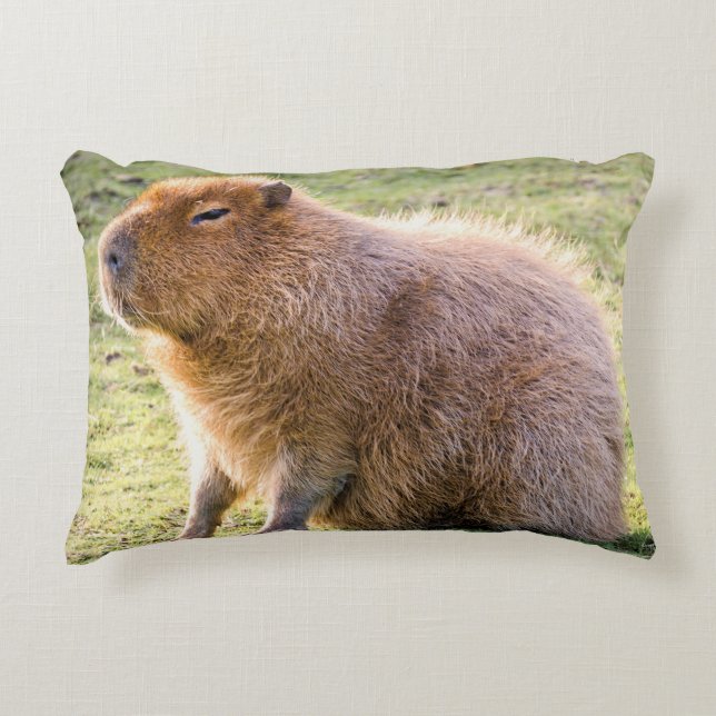 Cojín Decorativo Capybara Cushion (Anverso)