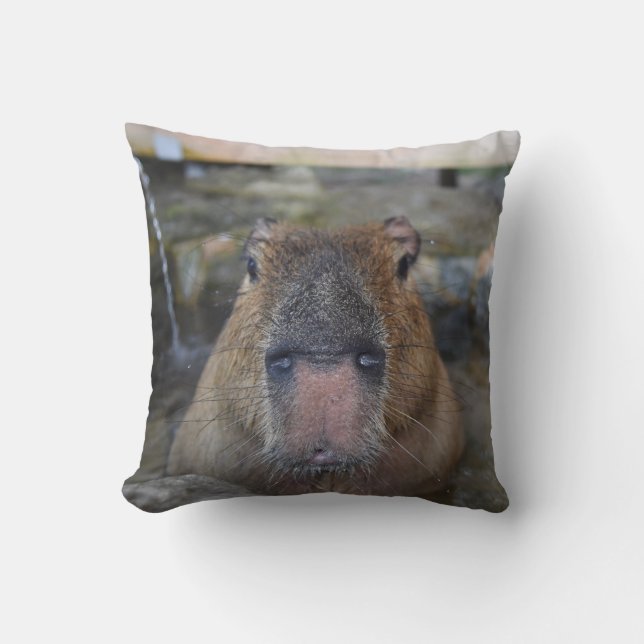 Cojín Decorativo Capybara japonés de las aguas termales (Anverso)