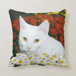 Cojín Decorativo Cara blanca del gato