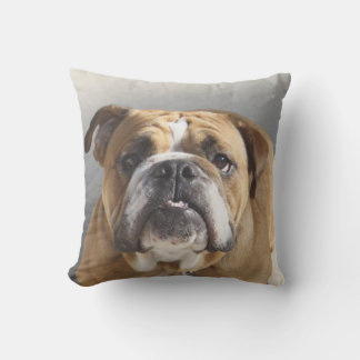 Cojín Decorativo Cara de bulldog - Bulldog inglés, marrón