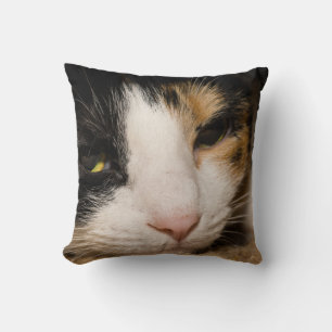 Cojín Decorativo Cara de Calico