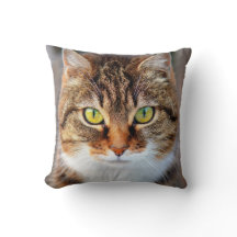 Cara de gato ojos verdes y amarillos lindos