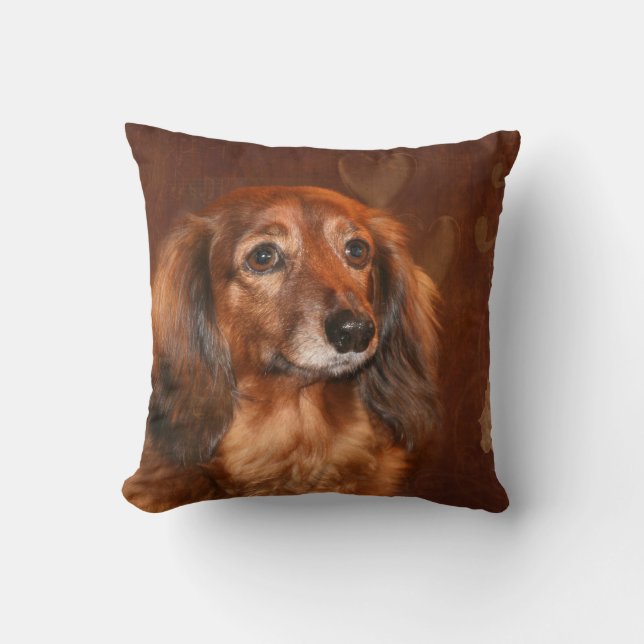 Cojín Decorativo Cara del Dachshund (Anverso)