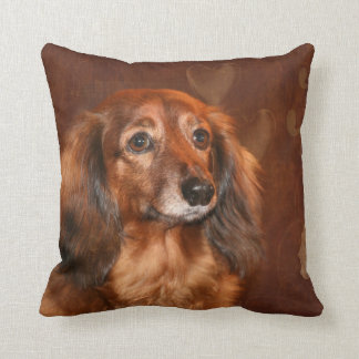 Cojín Decorativo Cara del Dachshund