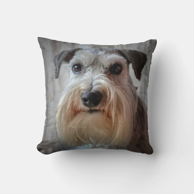 Cojín Decorativo Cara del perro Schnauzer (Anverso)