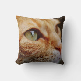 Cojín Decorativo Cara determinada de un gato jengibre