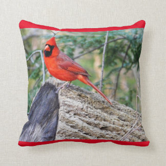 Cojín Decorativo Cardenal de Crimson