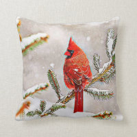 Cardenal en un árbol de pino