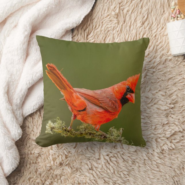 Cojín Decorativo Cardenal macho en rama (Manta)