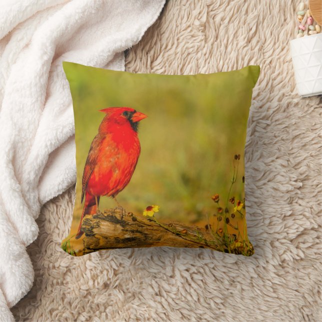 Cojín Decorativo Cardenal macho en tronco (Manta)