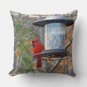 Cojín Decorativo Cardenal masculino