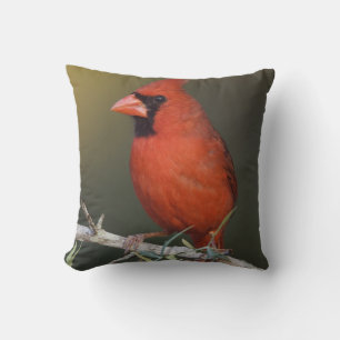 Cojín Decorativo Cardenal norteño, Cardinalis cardinalis, macho