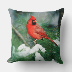 Cojín Decorativo Cardenal norteño macho en árbol, IL