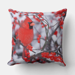 Cojín Decorativo Cardenal norteño macho, Invierno, IL