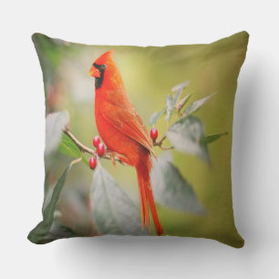 Cojín Decorativo Cardenal rojo brillante