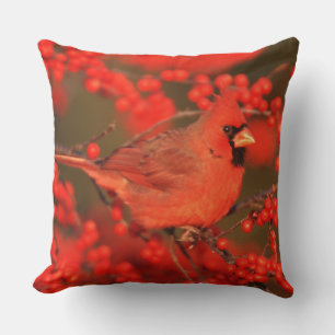 Cojín Decorativo Cardenal rojo del norte macho, IL