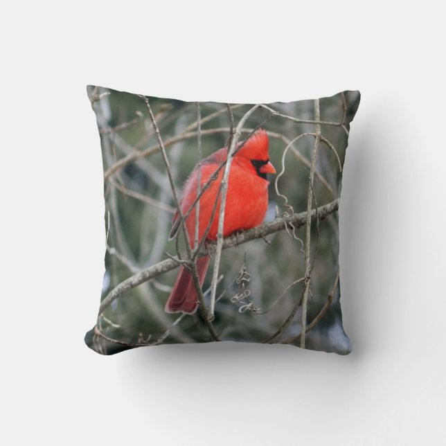 Cojín Decorativo Cardenal Rojo Real Pillow (Anverso)