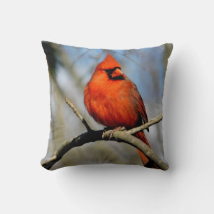 Cojín Decorativo Cardenal soleado Escudo Pillow