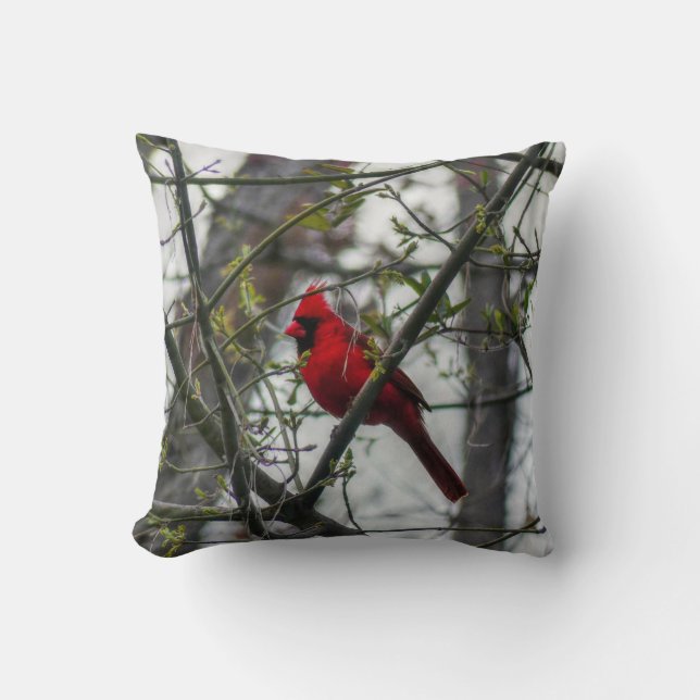 Cojín Decorativo Cardinal (Anverso)