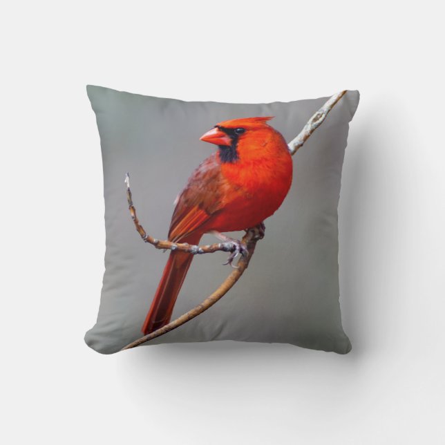 Cojín decorativo cardinal (Anverso)