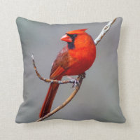 Cojín decorativo cardinal