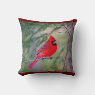 Cojín Decorativo Cardinal Perch